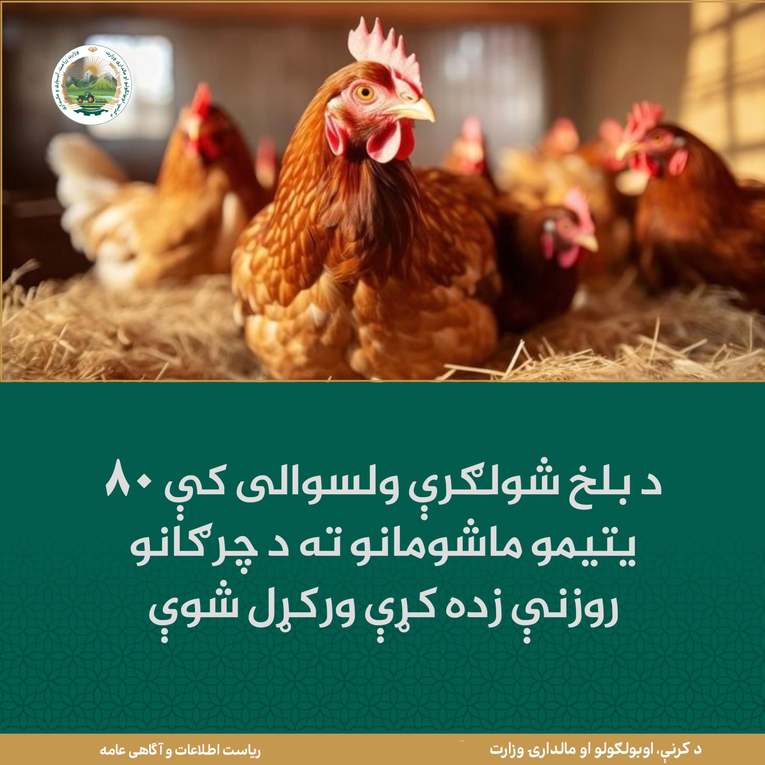 د ورځ مهمی خبری