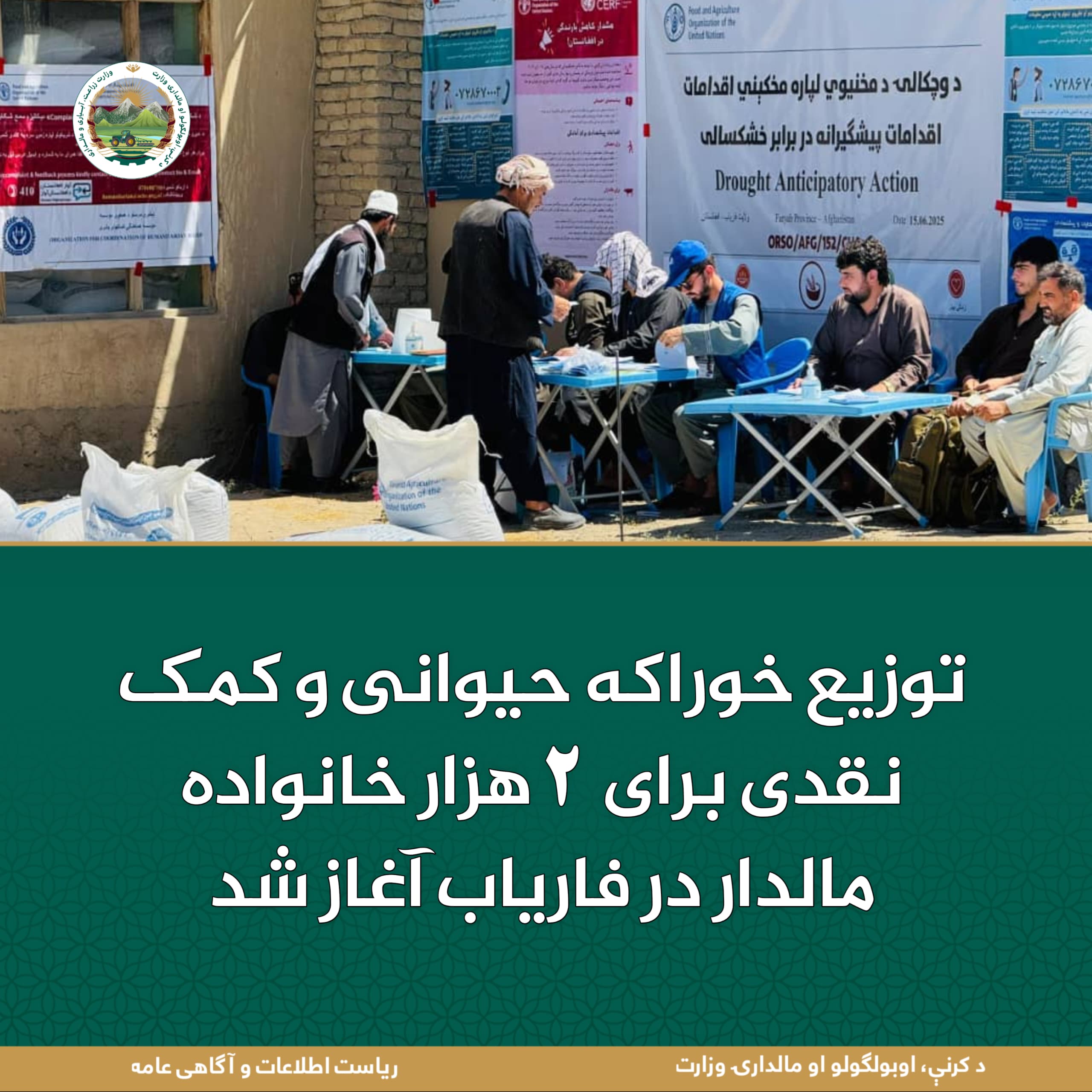 توزیع خوراکه حیوانی و کمک نقدی برای ۲ هزار خانواده مالدار در فاریاب آغاز شد