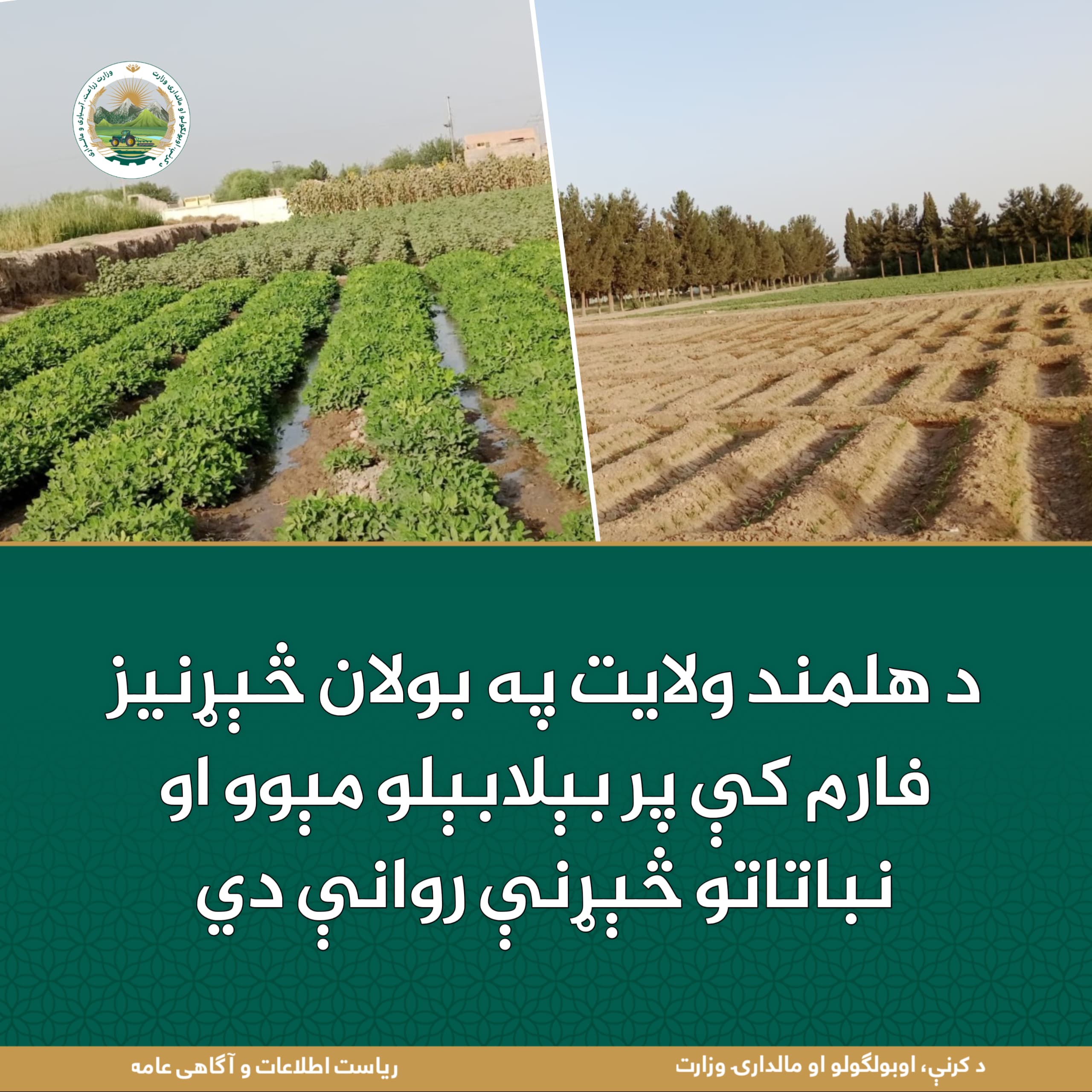 د ورځ مهمی خبری