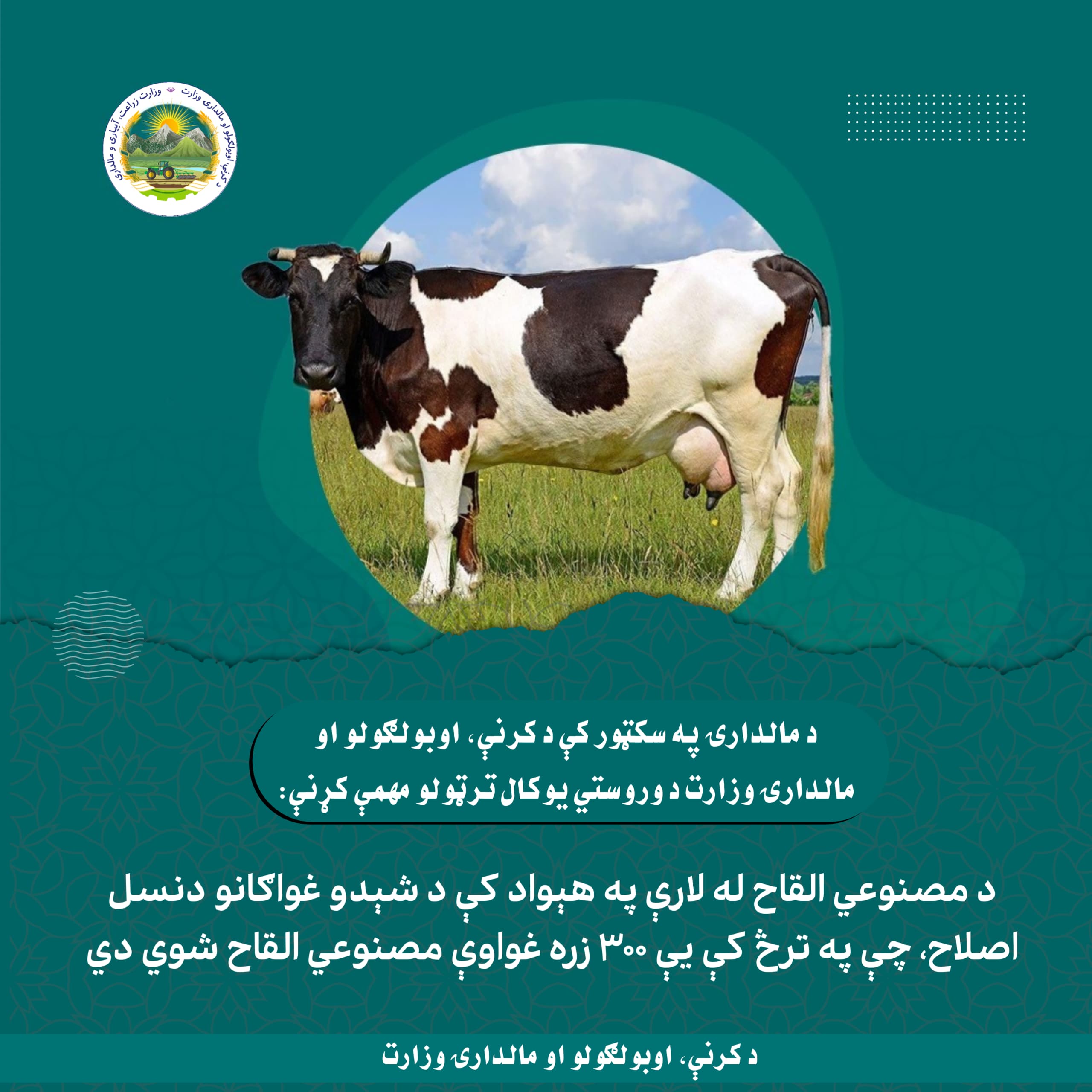 د کرنې، اوبولګولو او مالدارۍ وزارت د وروستي یوکال ترټولو مهمې کړنې