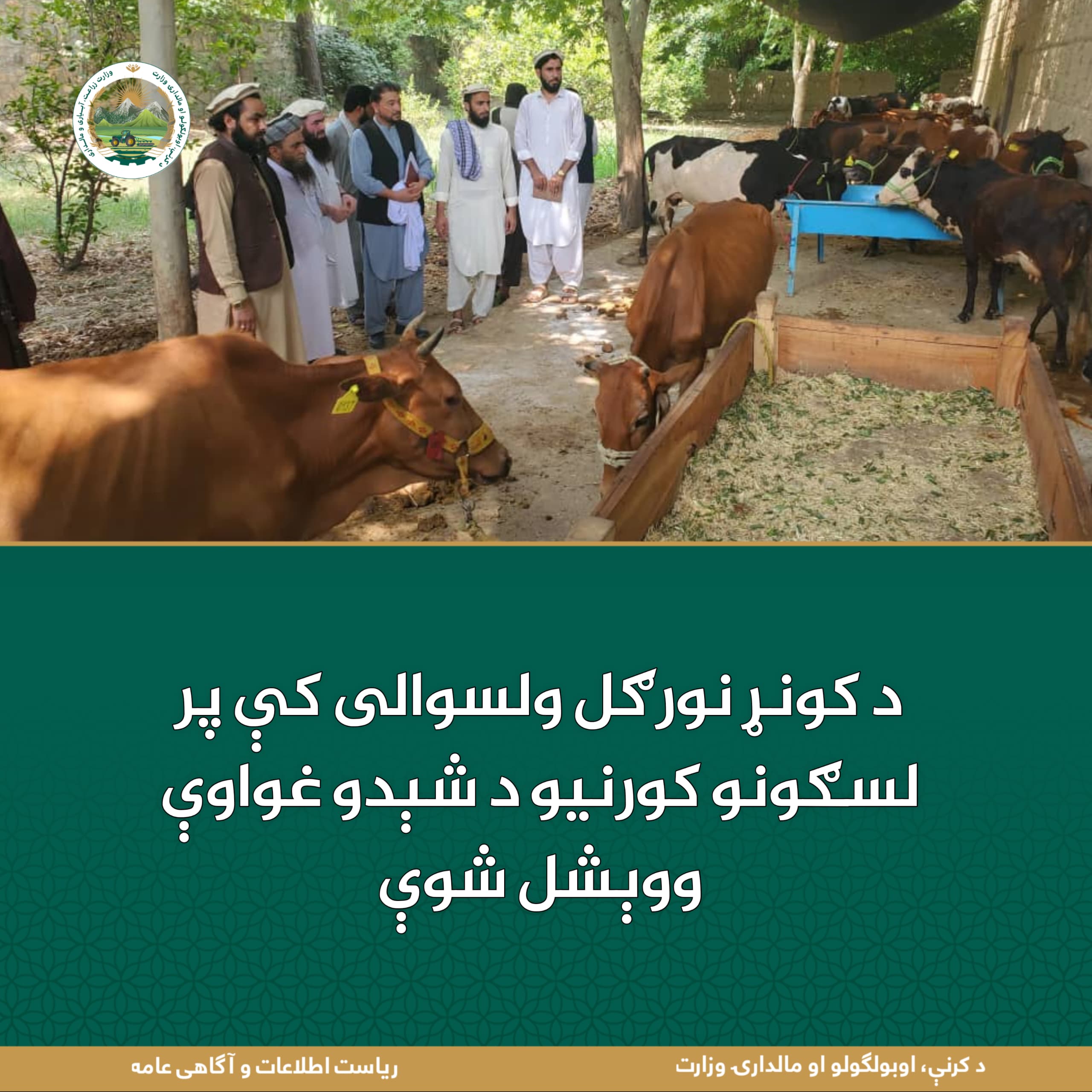د ورځ مهمی خبری