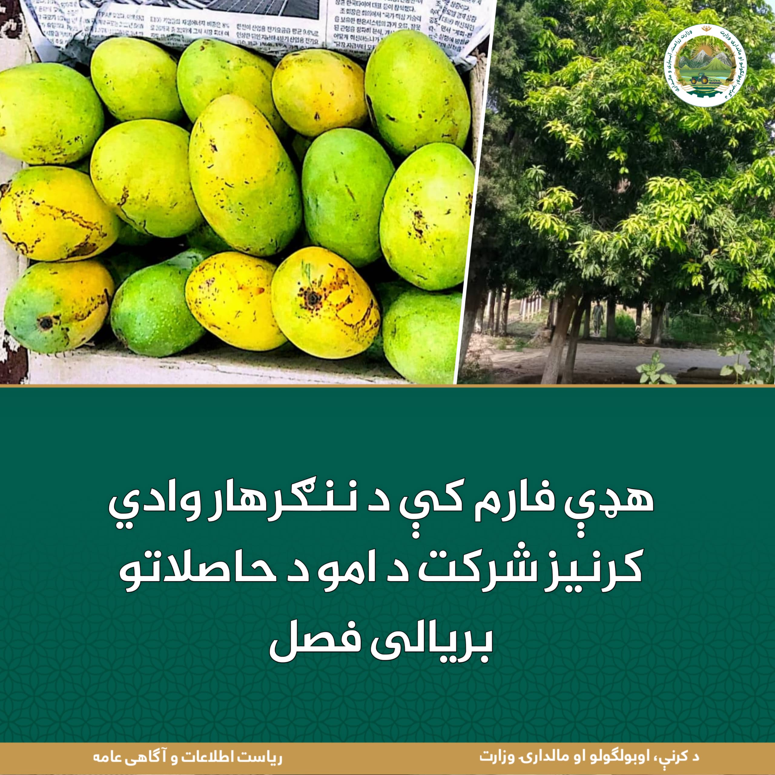 د ورځ مهمی خبری