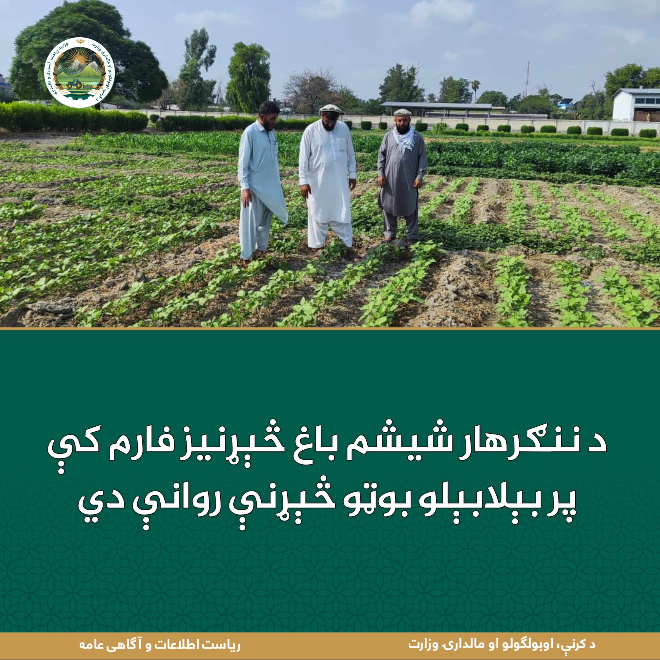 د ورځ مهمی خبری