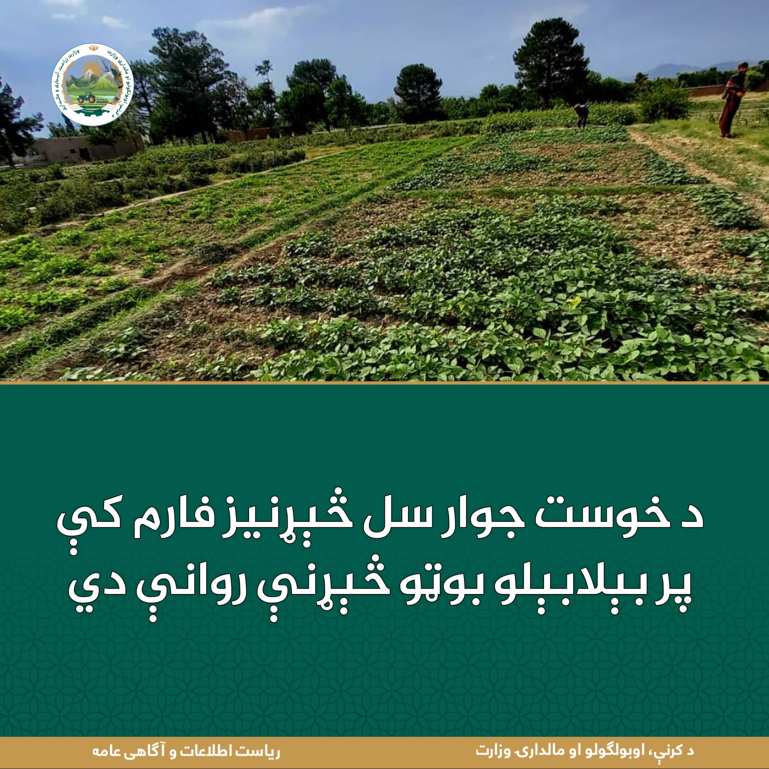 د ورځ مهمی خبری