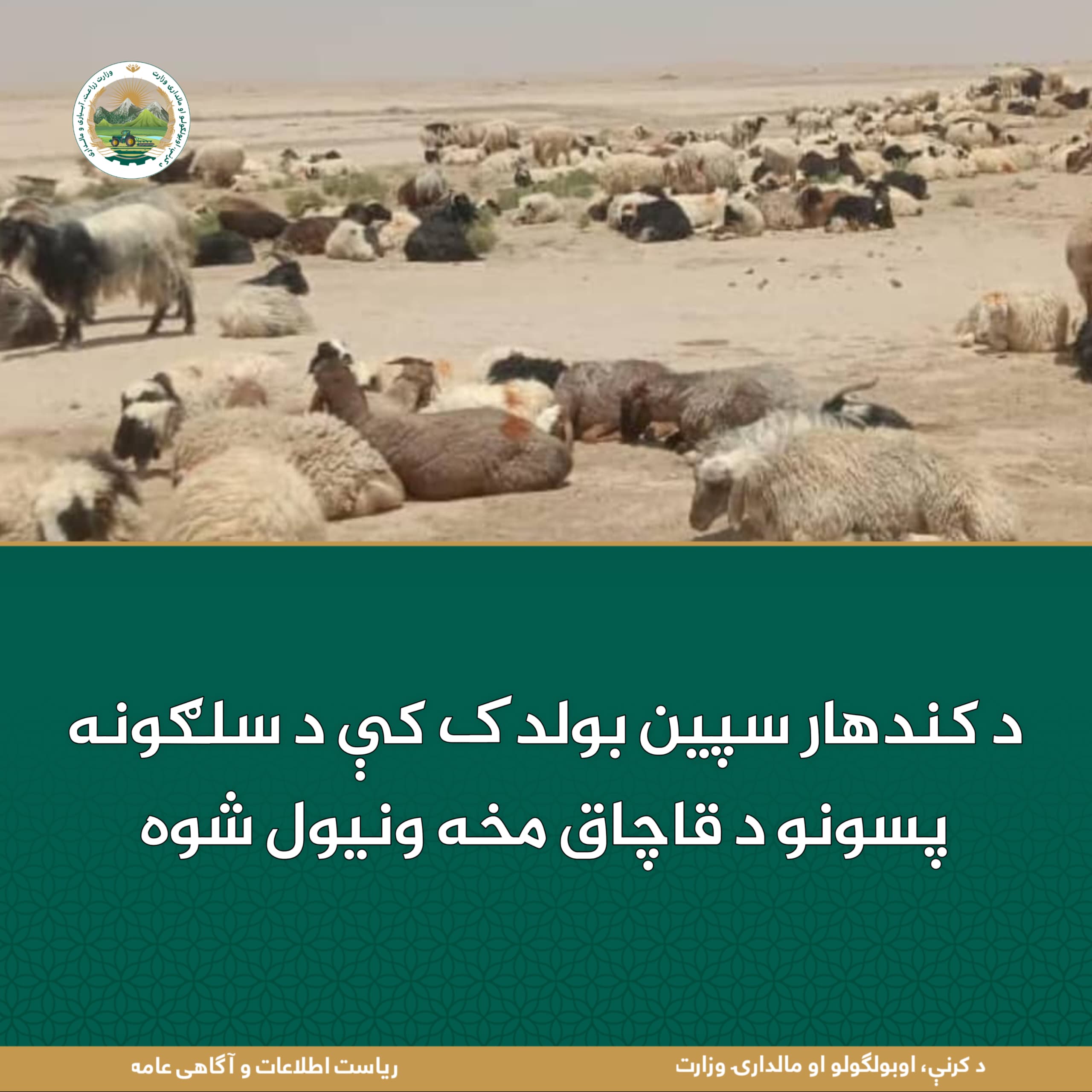 د ورځ مهمی خبری