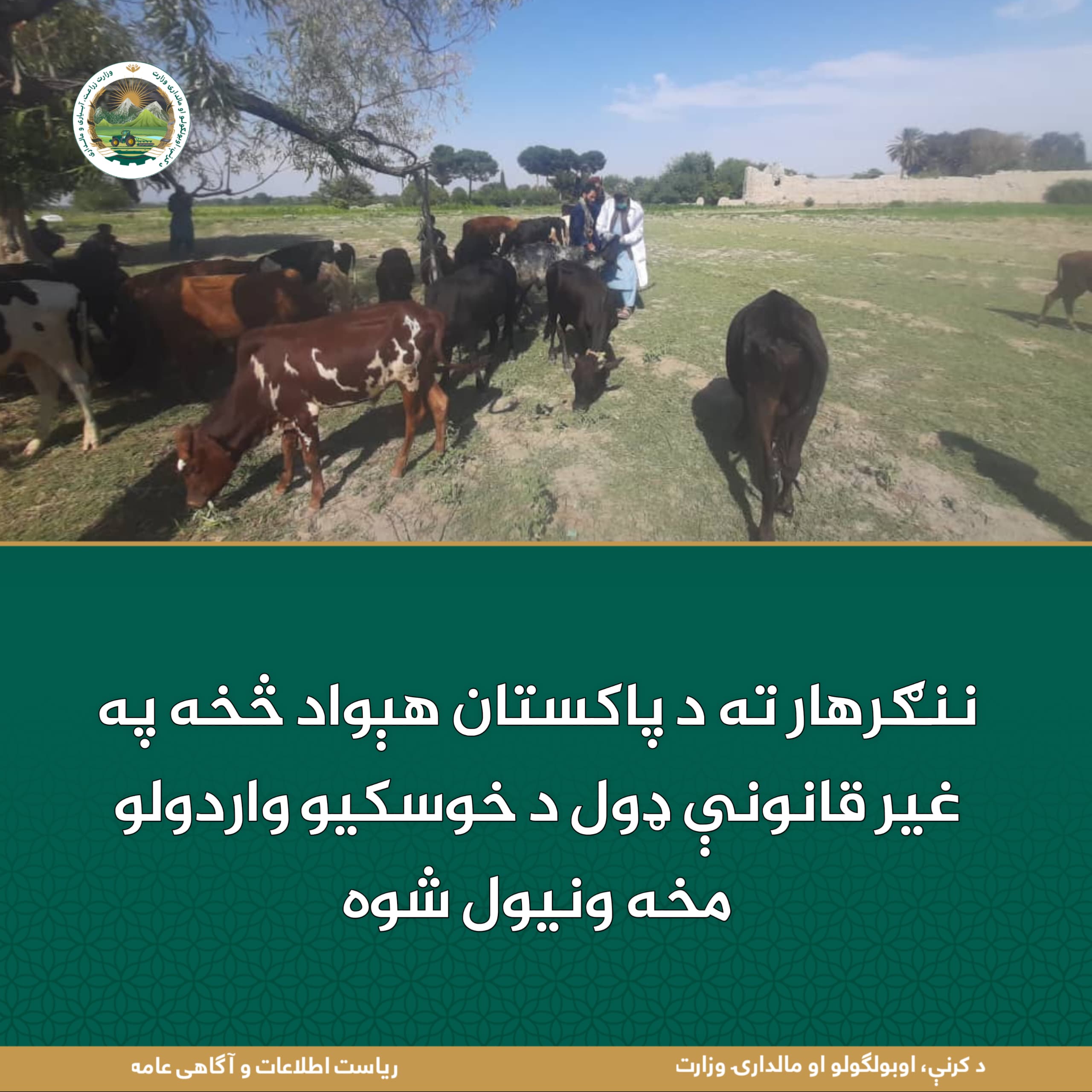 د ورځ مهمی خبری