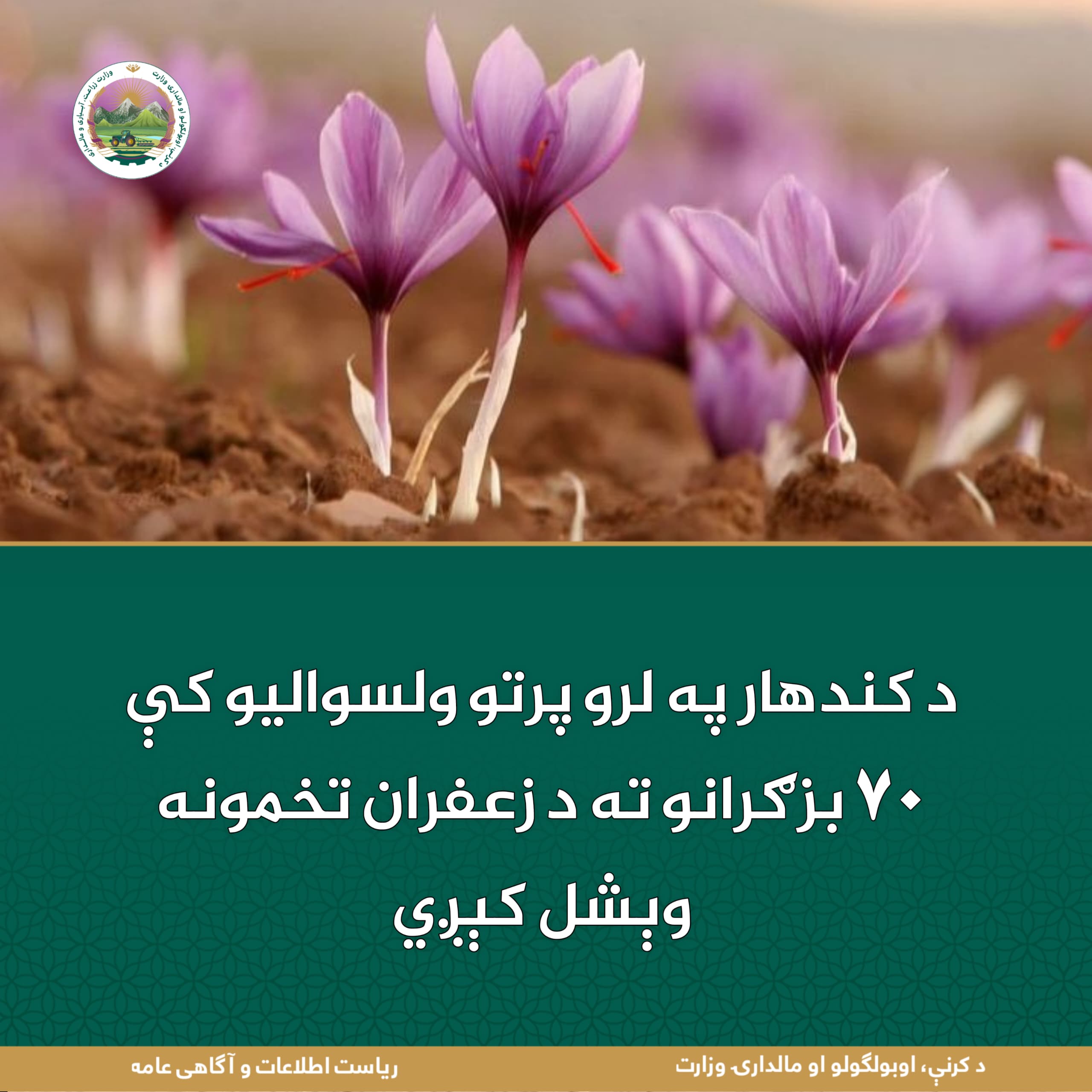 د ورځ مهمی خبری