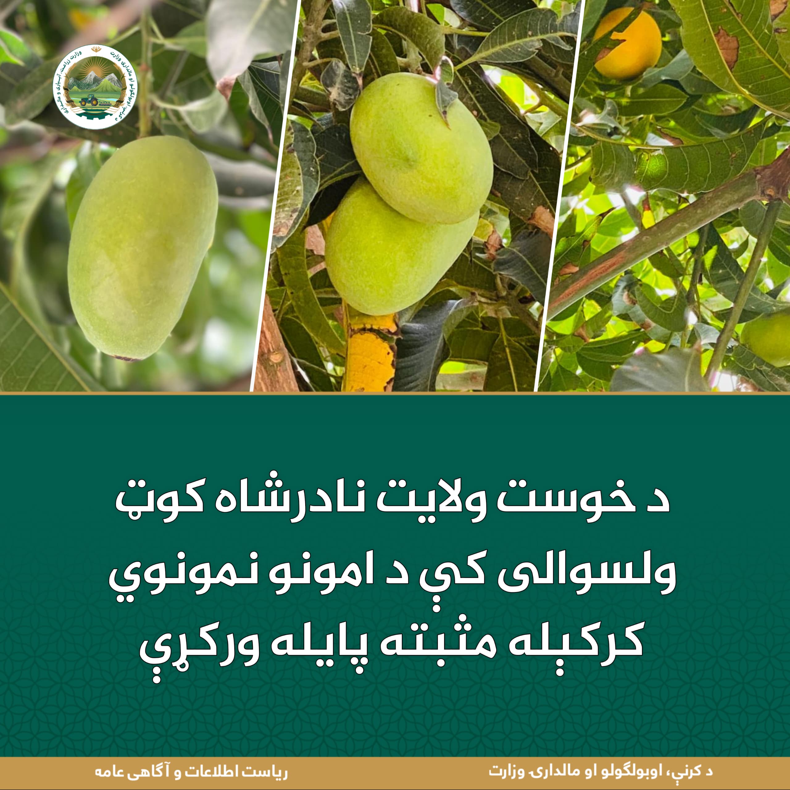 د ورځ مهمی خبری