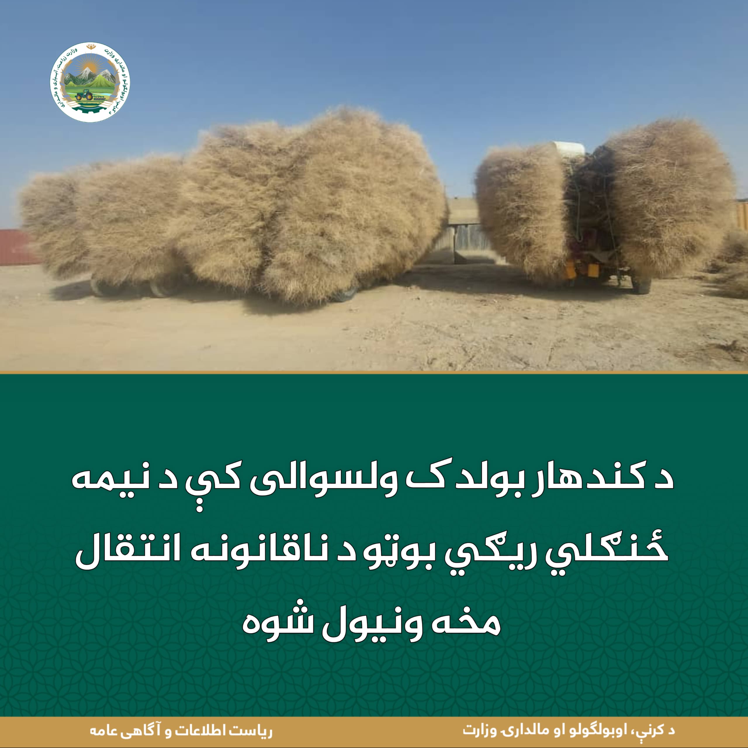 د ورځ مهمی خبری