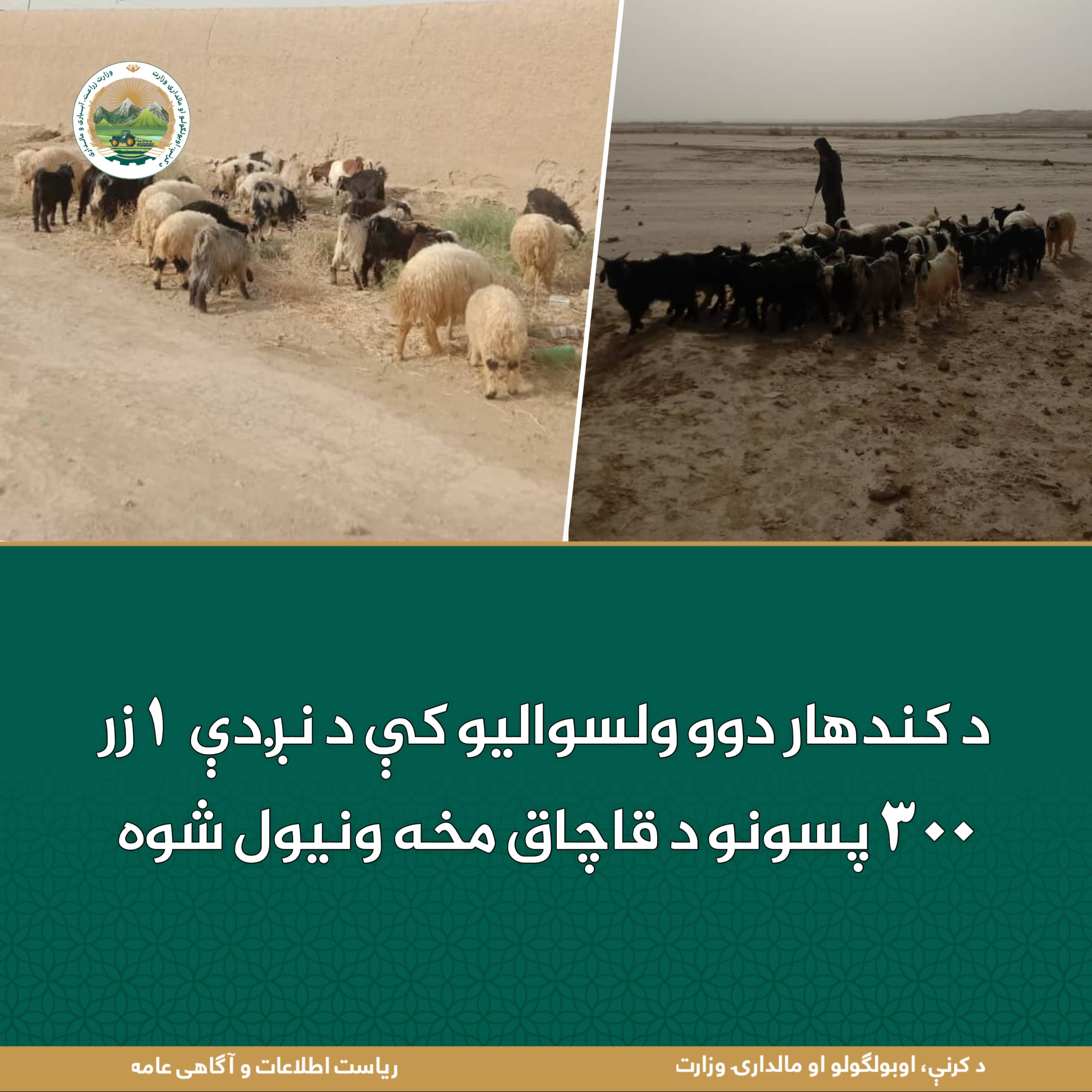 د ورځ مهمی خبری
