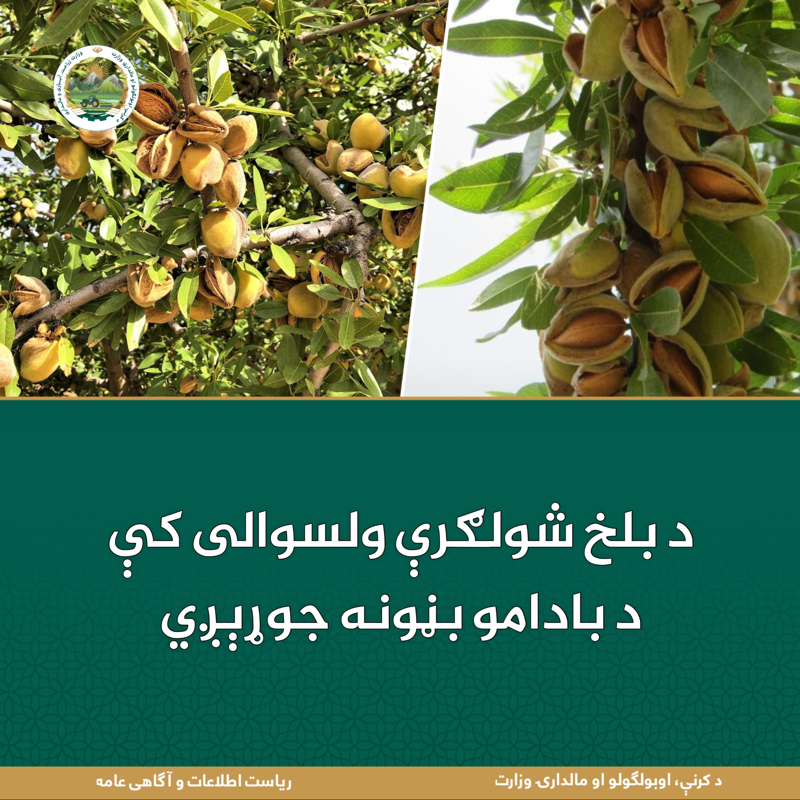 د ورځ مهمی خبری