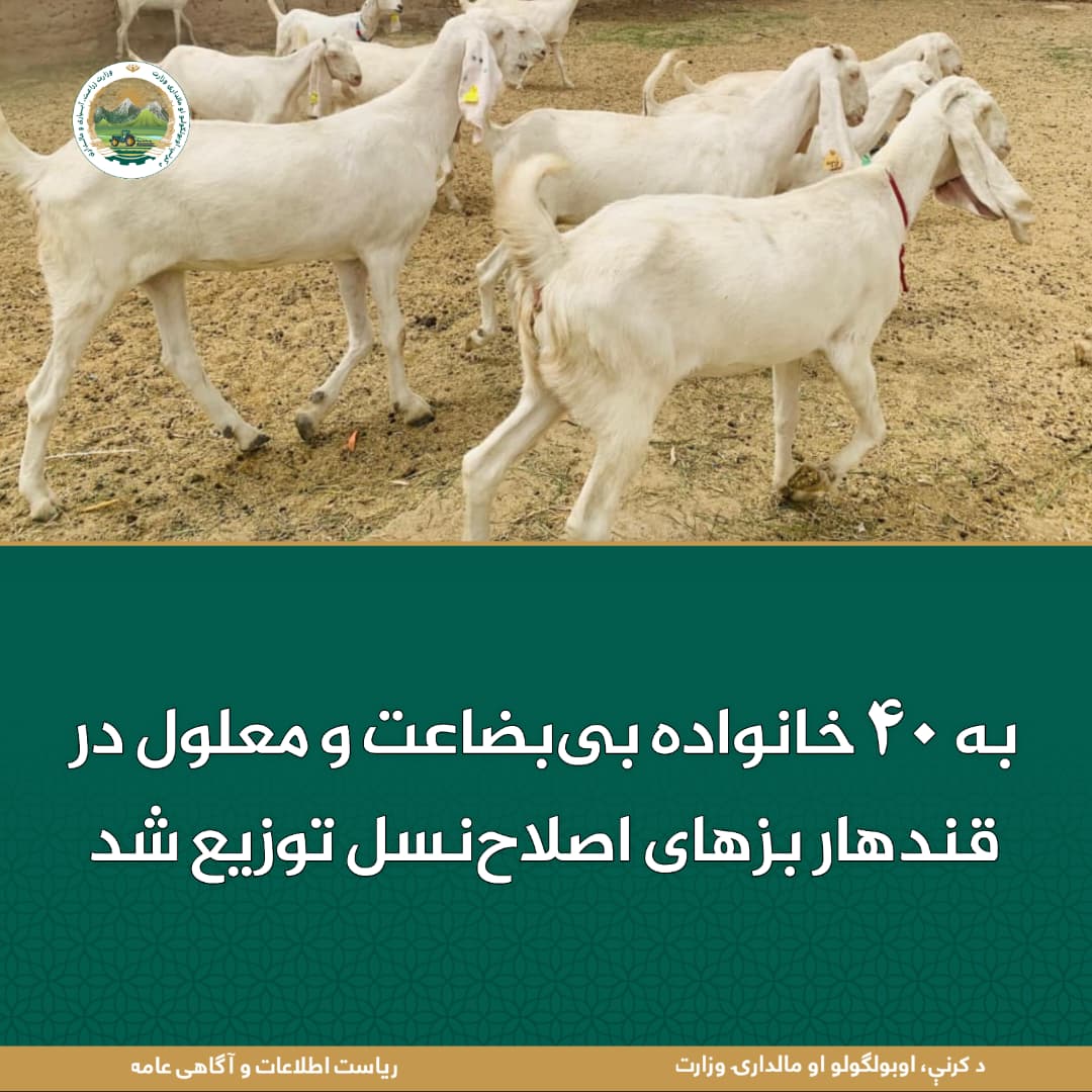 خبرهای مهم روز