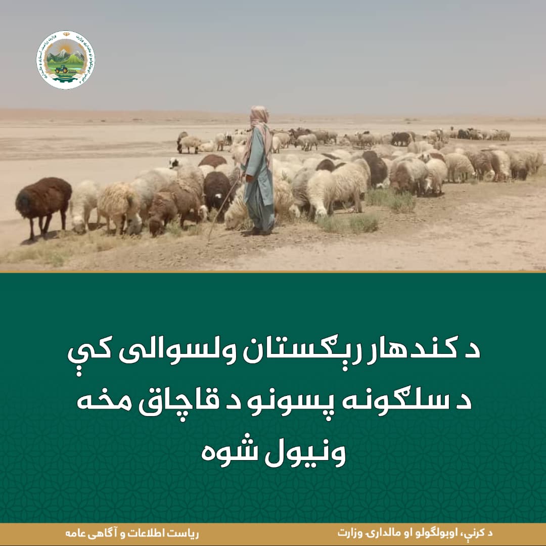 د ورځ مهمی خبری