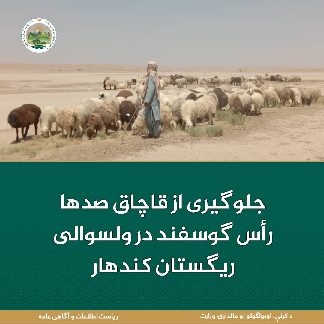 خبرهای مهم روز