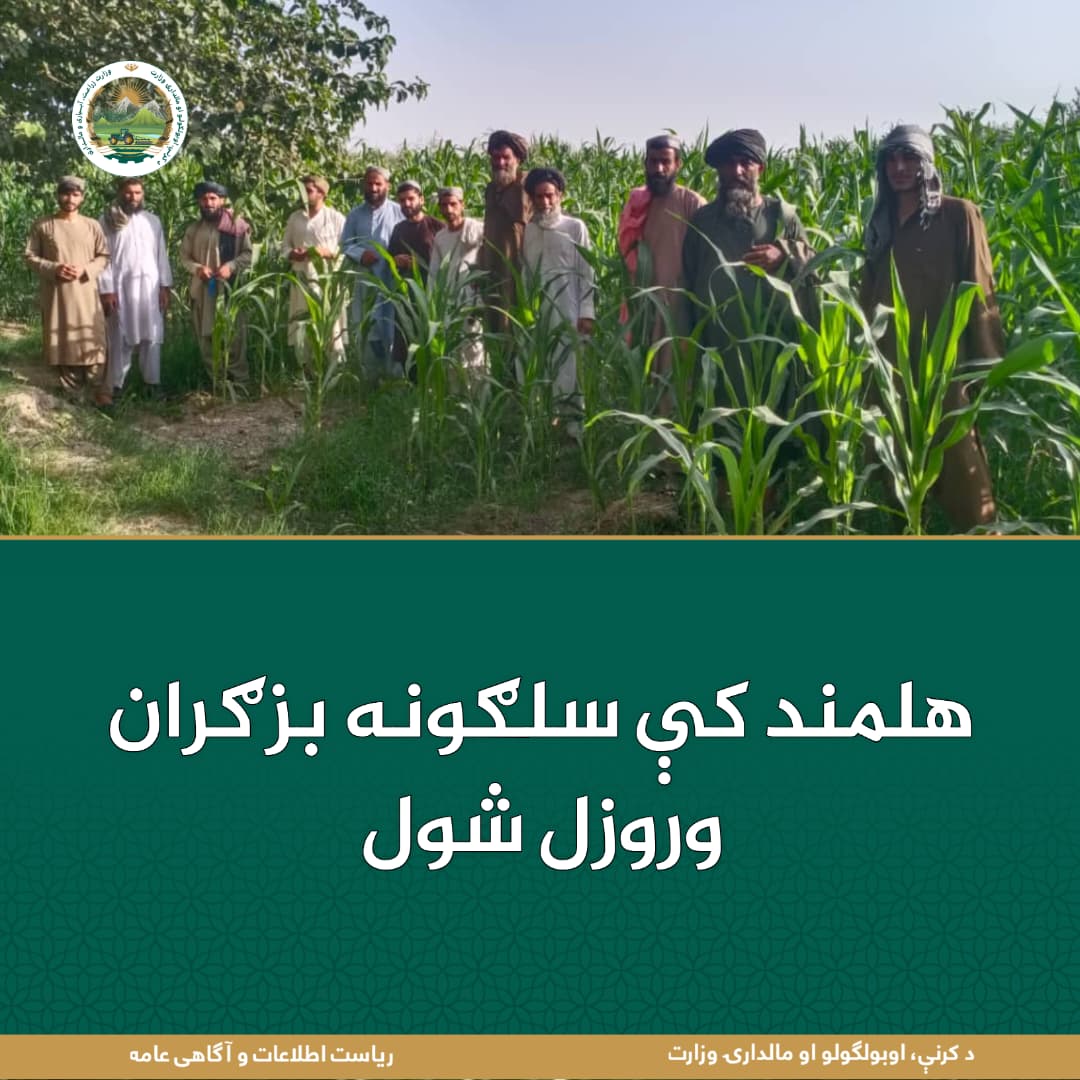 د ورځ مهمی خبری