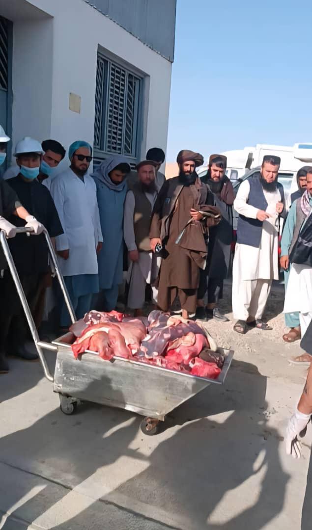 حریق بیش از دو تُن گوشت و جگر ملوث در مسلخ دولتی بلخ