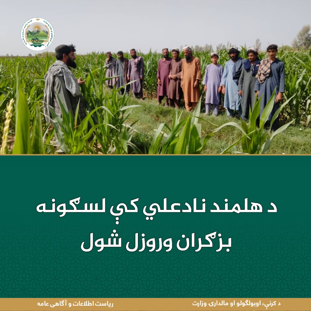 د ورځ مهمی خبری