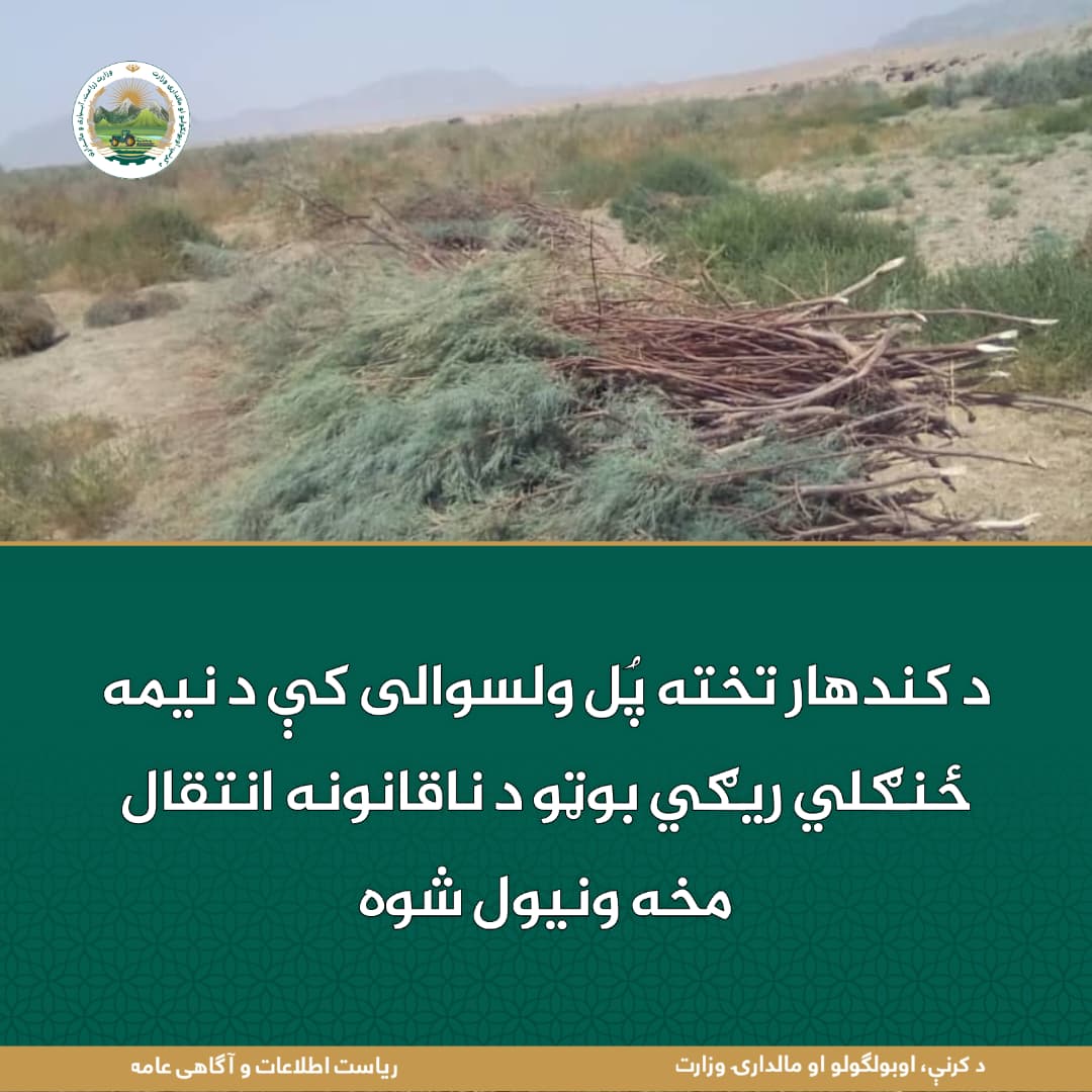 د ورځ مهمی خبری