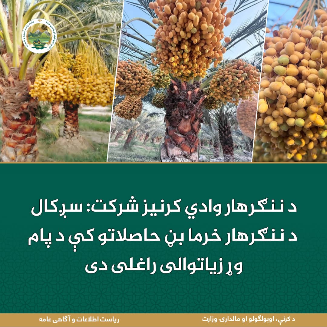 د ورځ مهمی خبری