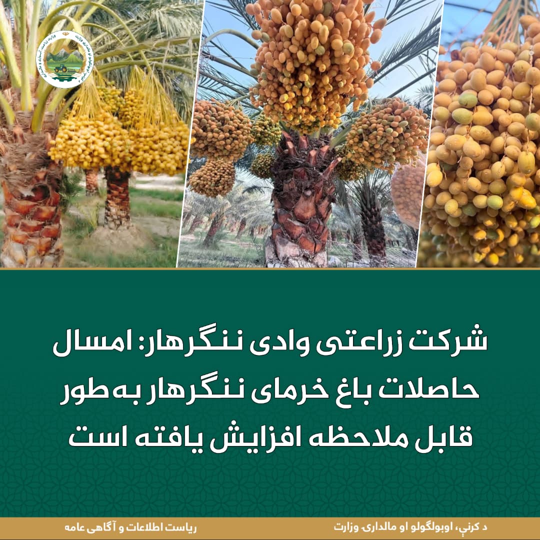 خبرهای مهم روز