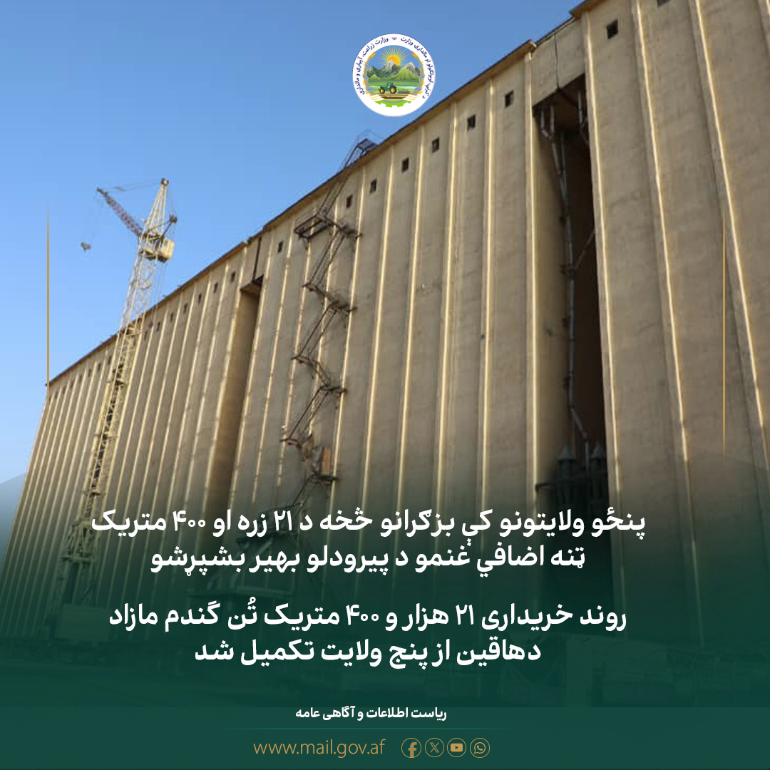 روند خریداری ۲۱ هزار و ۴۰۰ متریک تُن گندم مازاد دهاقین از پنج ولایت تکمیل شد
