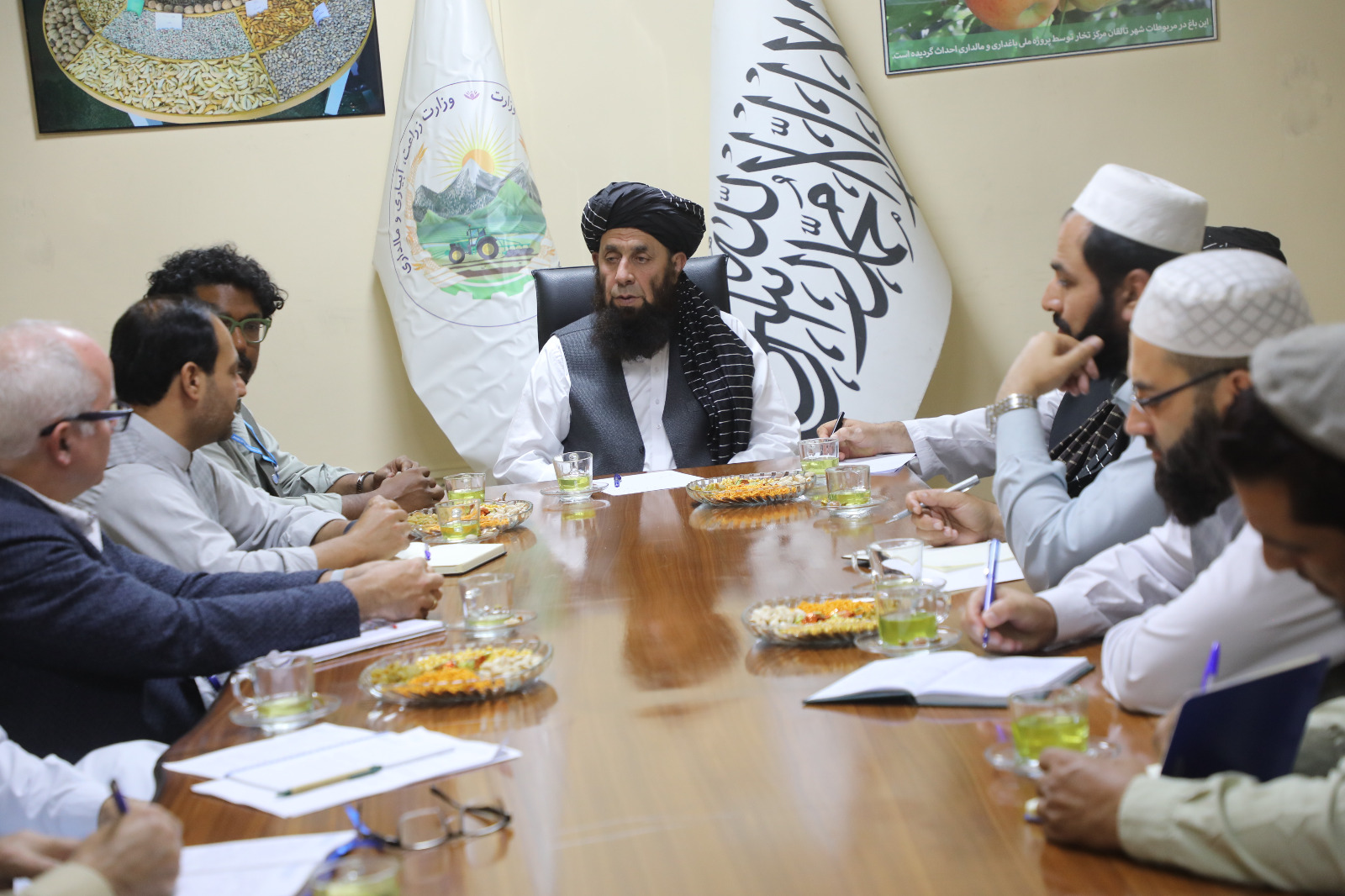 دیدار معین زراعت و مالداری با مسوولان سازمان خوراک و زراعت ملل متحد