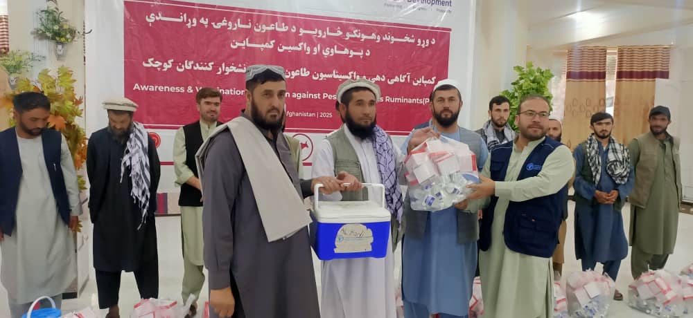 آغاز کمپاین واکسیناسیون طاعون نشخوارکنندگان کوچک در بدخشانv