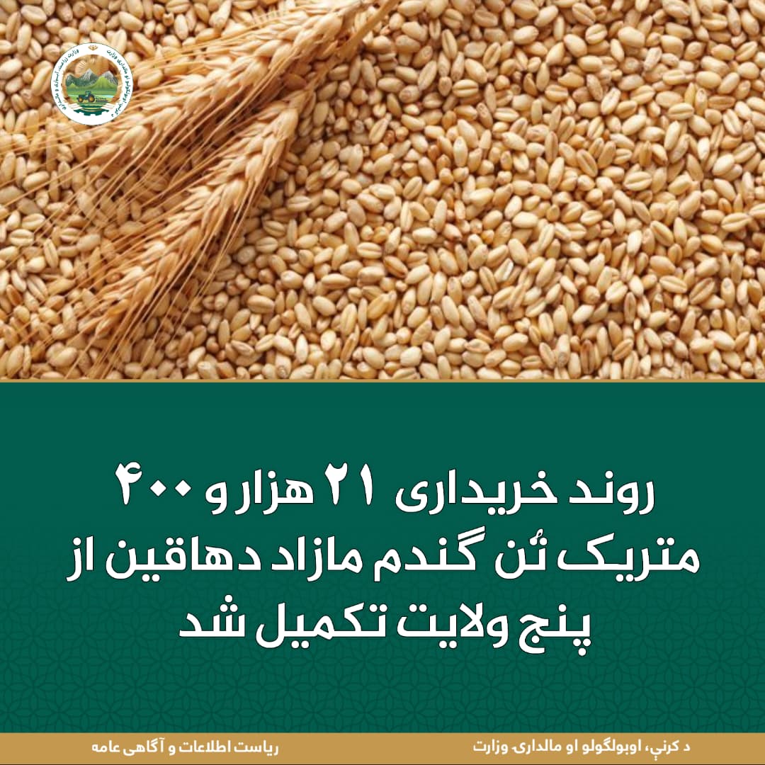خبرهای مهم روز