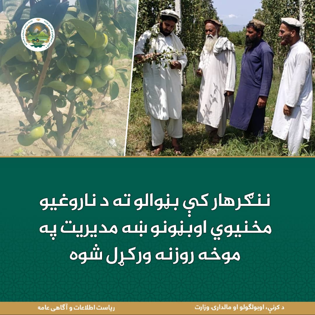 د ورځ مهمی خبری