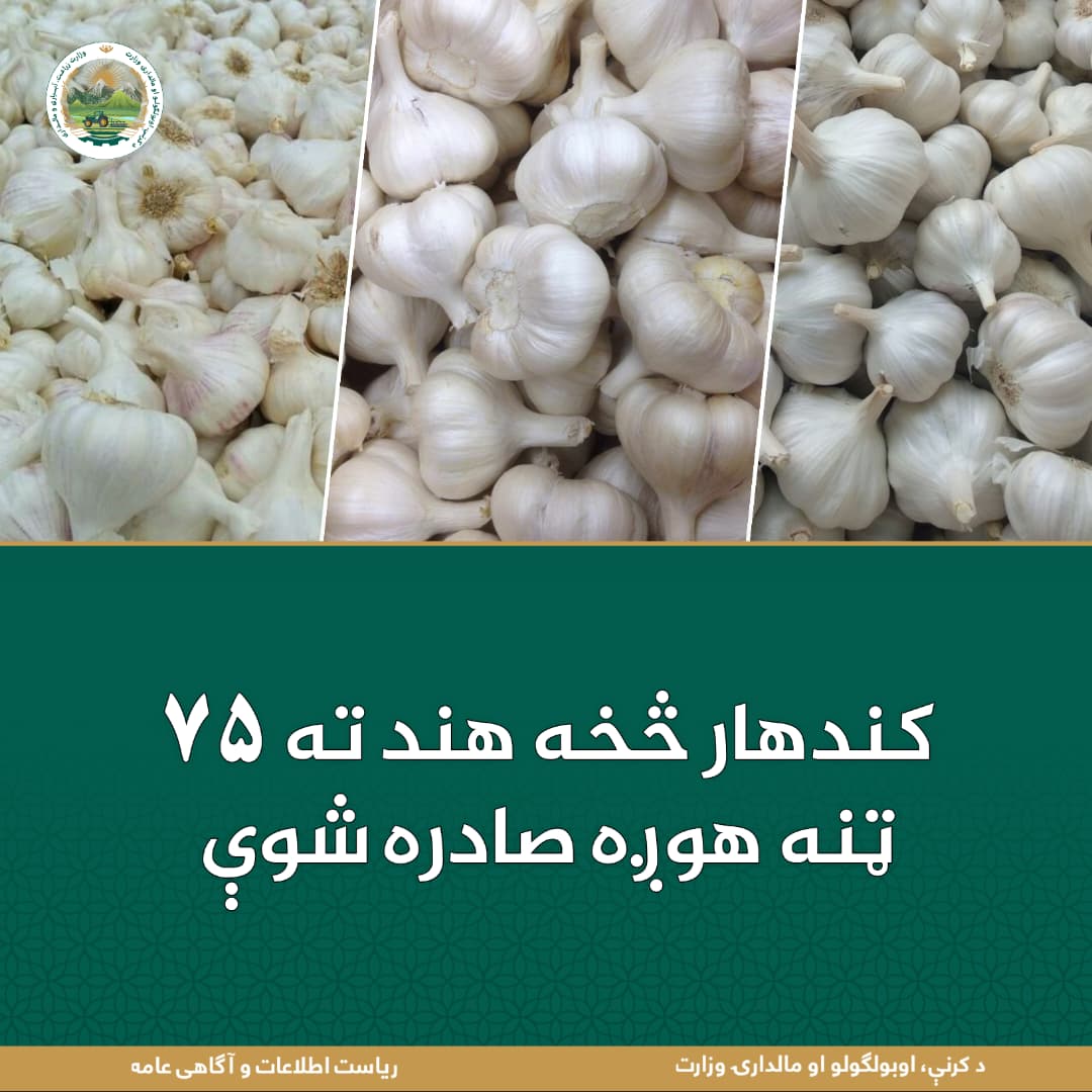 د ورځ مهمی خبری