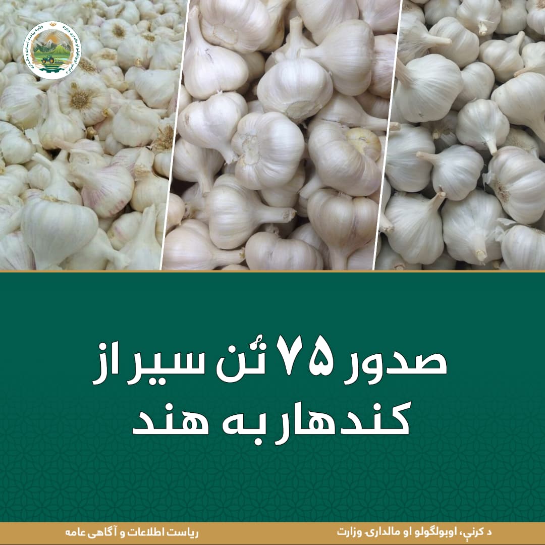 خبرهای مهم روز