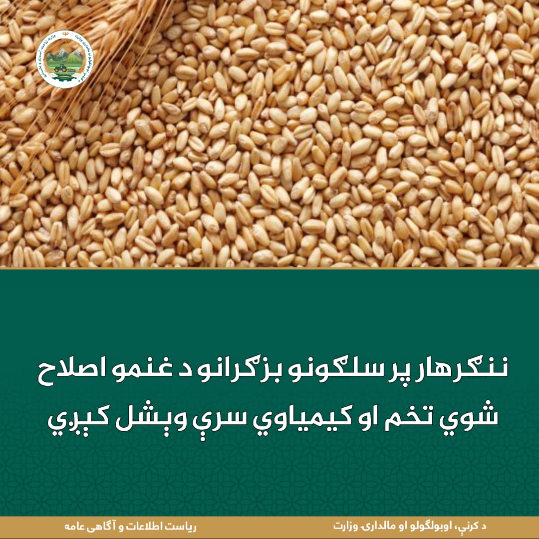 د ورځ مهمی خبری