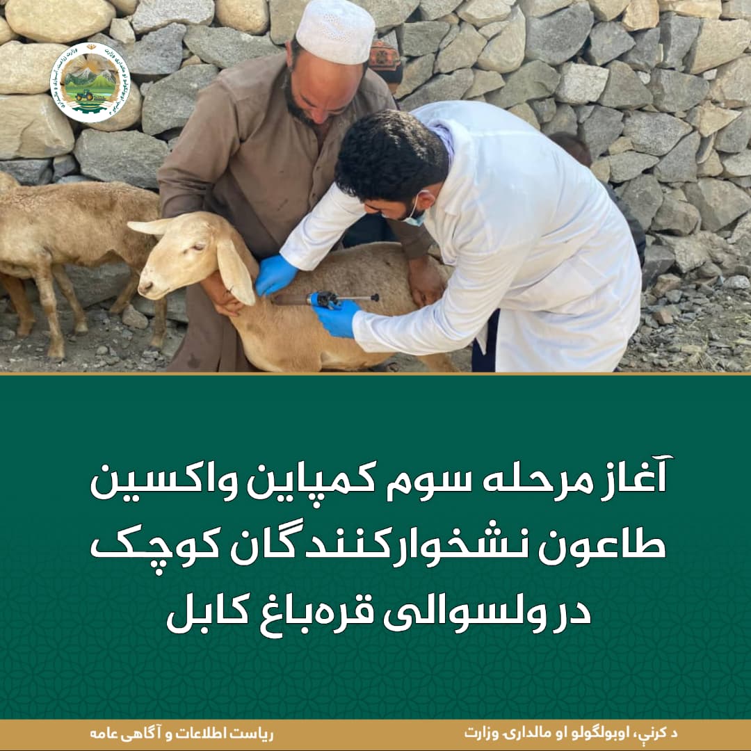 خبرهای مهم روز