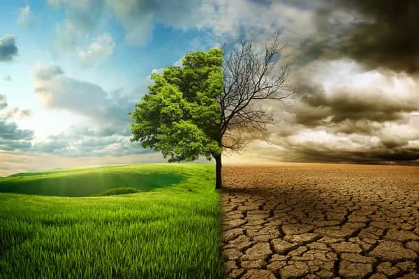 کندهار؛ برای ۱۵۰ دهقان برنامه آموزشی اقلیم آغاز شد