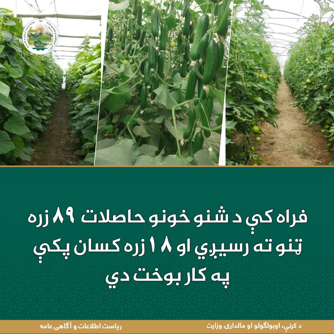 د ورځ مهمی خبری