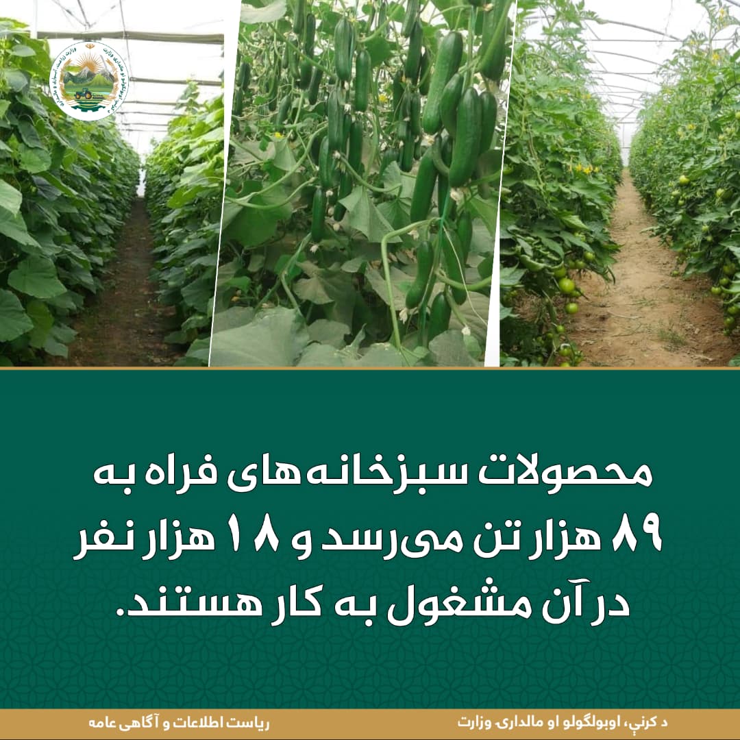 خبرهای مهم روز