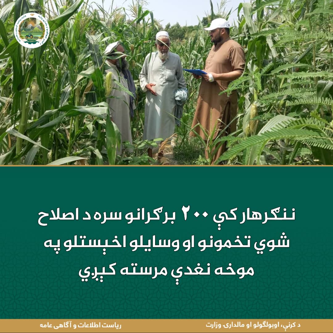 د ورځ مهمی خبری