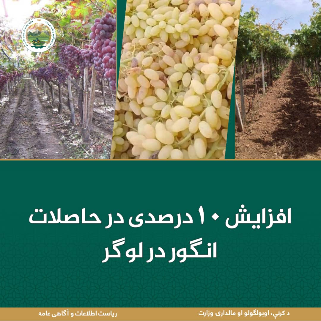 خبرهای مهم روز