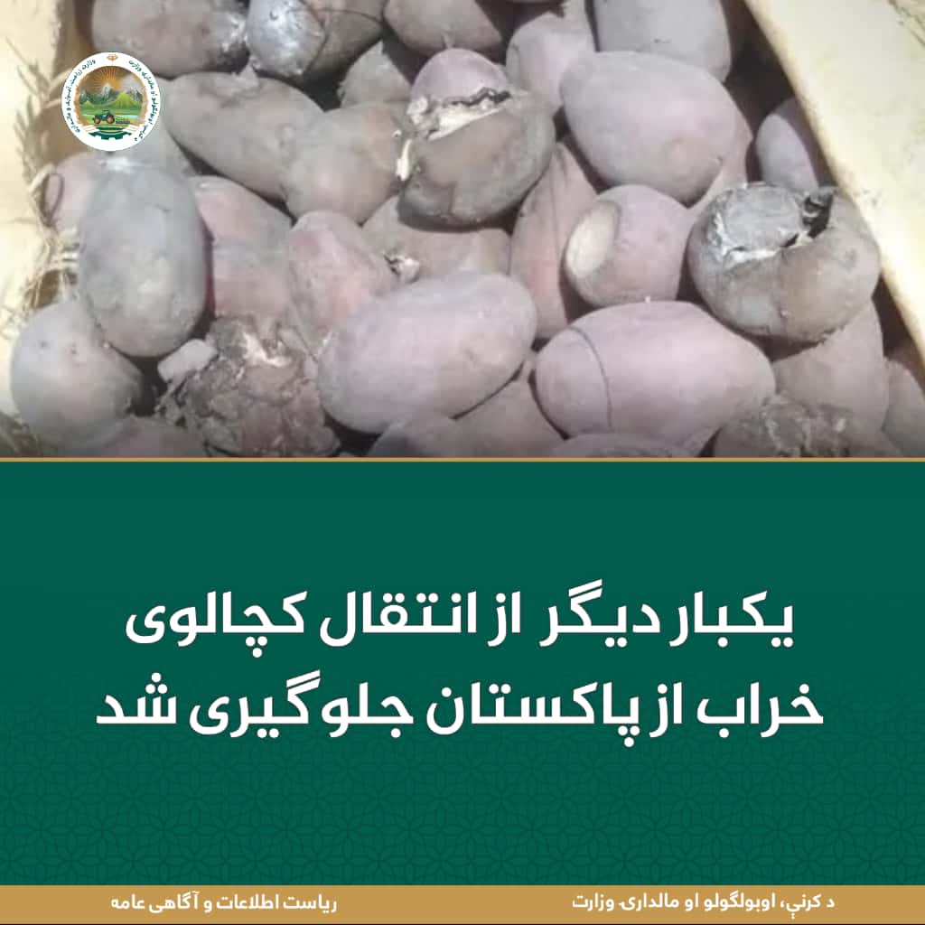 خبرهای مهم روز