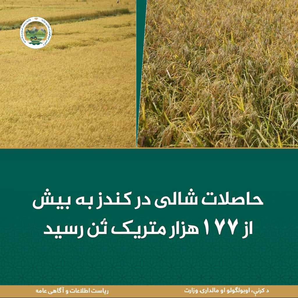خبرهای مهم روز