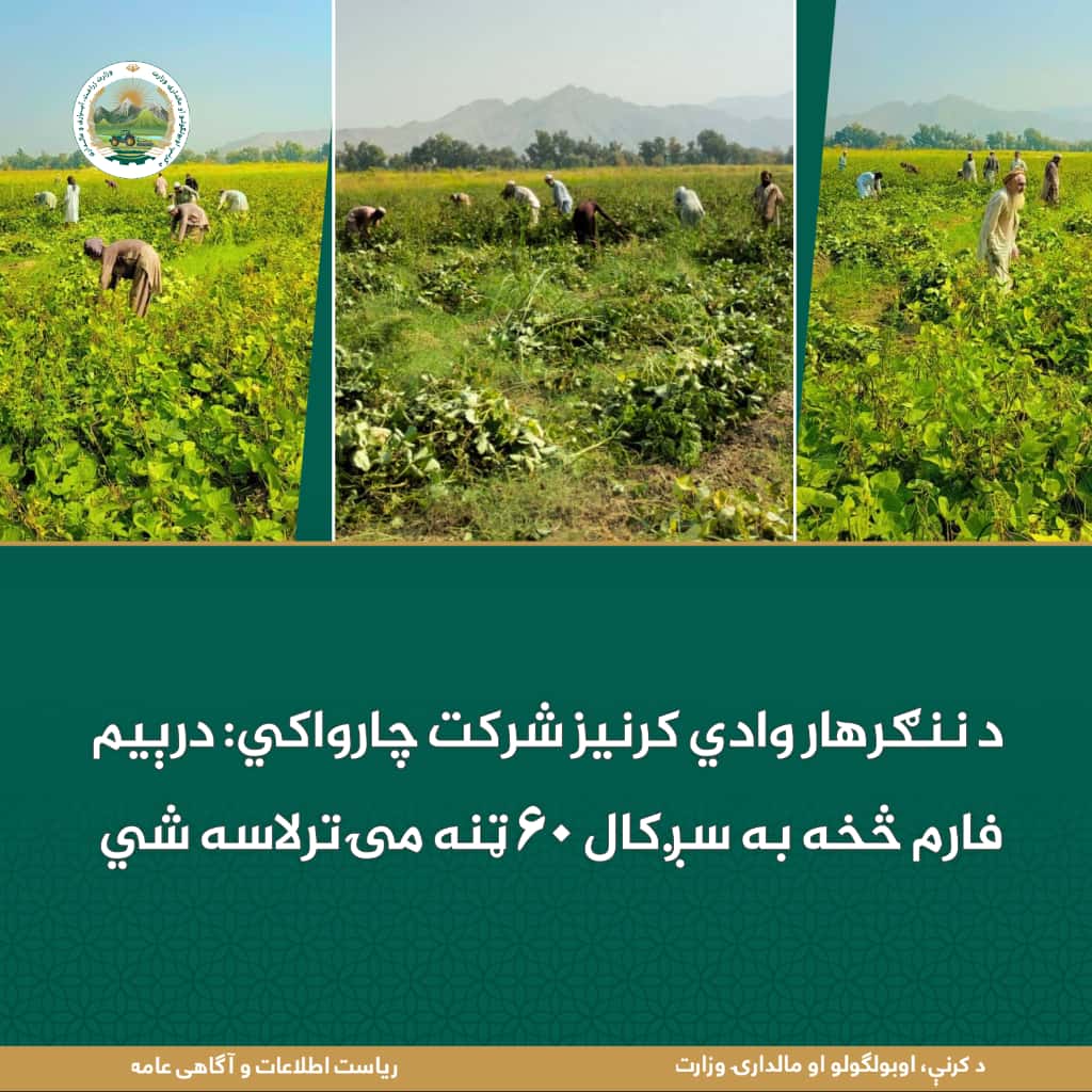 د ورځ مهمی خبری