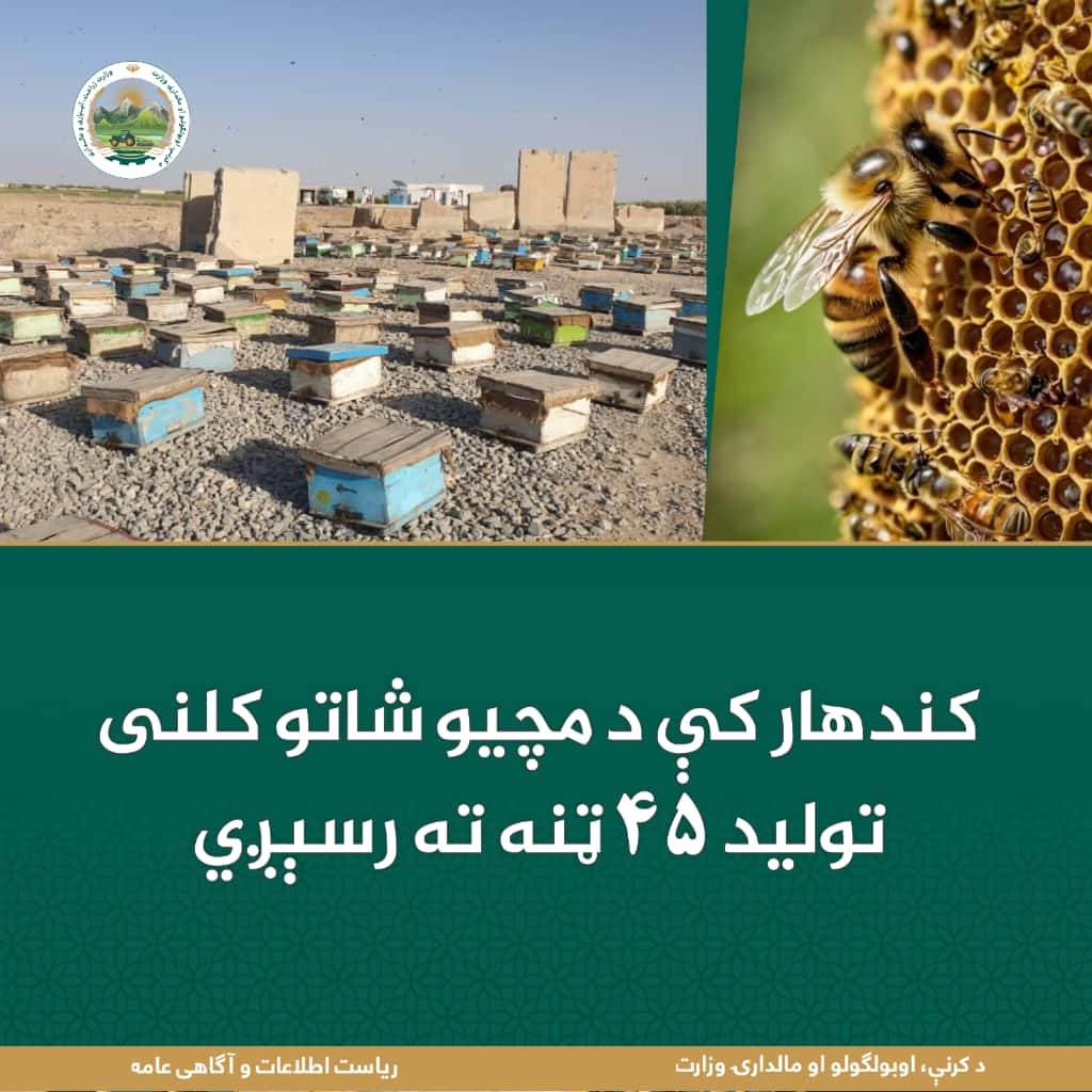 د ورځ مهمی خبری