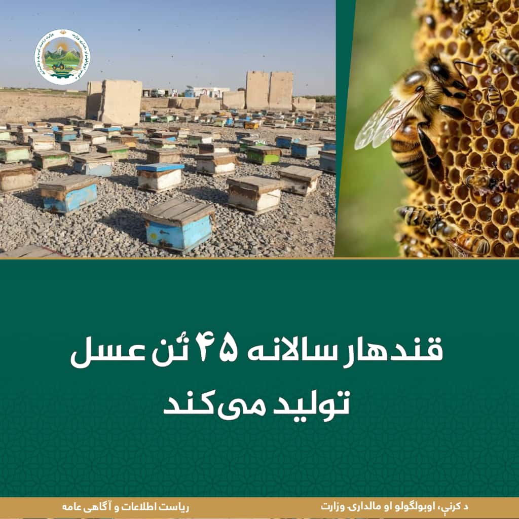 خبرهای مهم روز