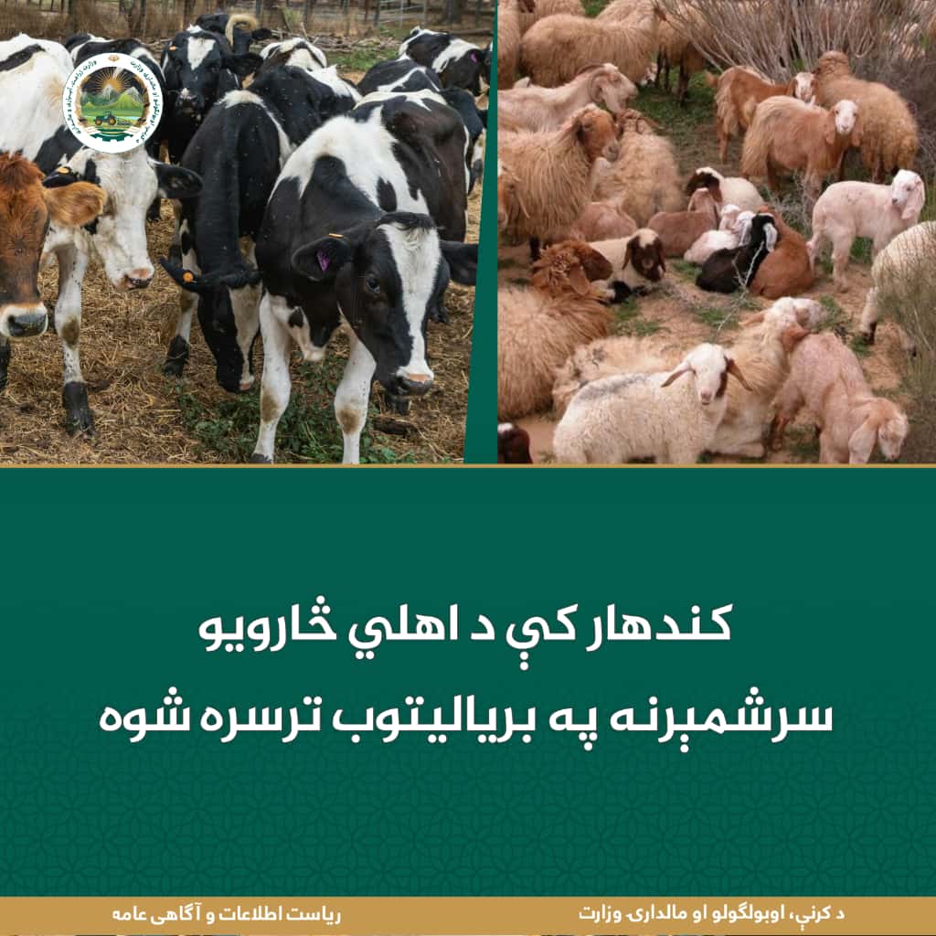د ورځ مهمی خبری