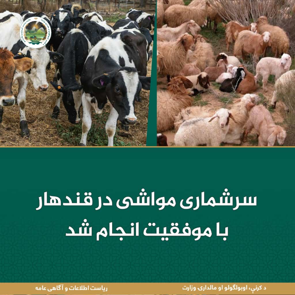 خبرهای مهم روز