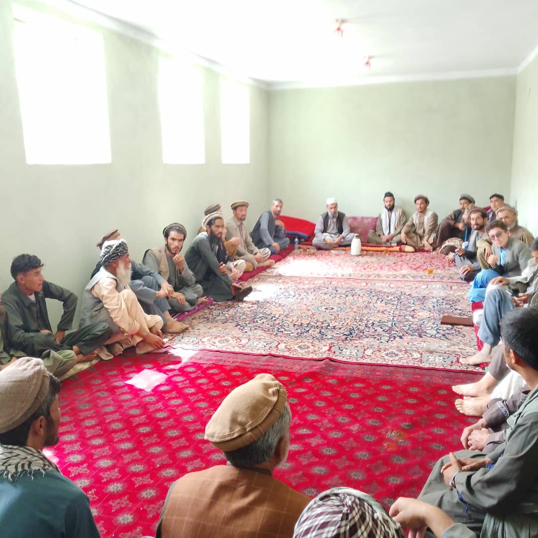 آغاز سروی دهاقین برای توزیع تخم بذری اصلاح‌شده و کود کیمیاوی در اشکمش