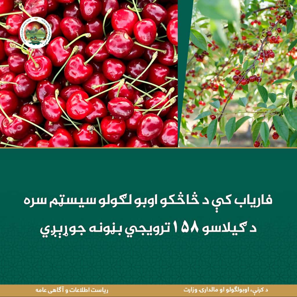 د ورځ مهمی خبری
