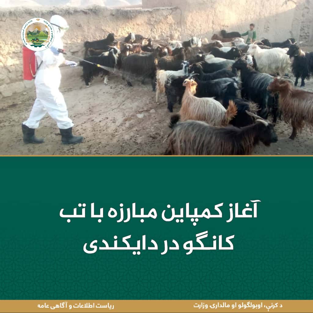 خبرهای مهم روز