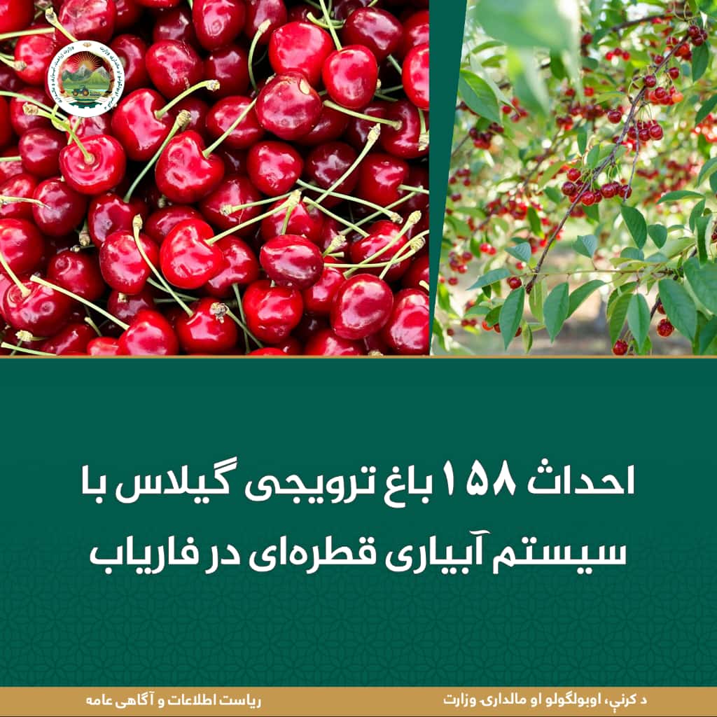خبرهای مهم روز