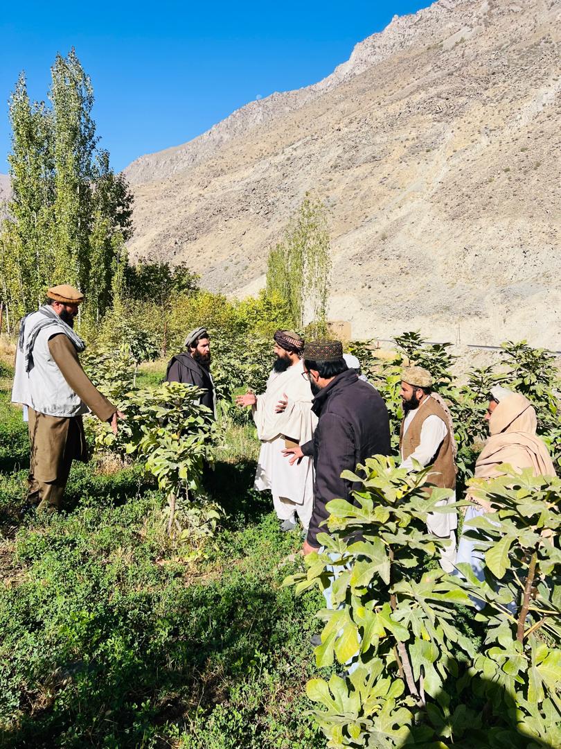 سفر رئیس زراعت، آبیاری و مالداری بدخشان به ولسوالی مایمی